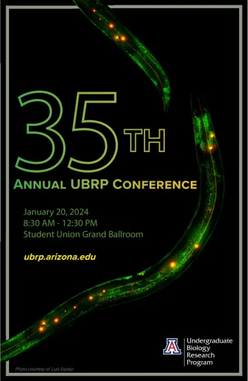 Picture of 35th Annual UBRP Conference Poster