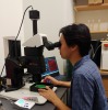Picture of Angelo Antenor looking through a microscope at the lab bench
